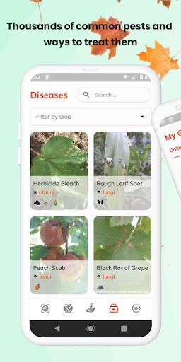 Screenshot Plant App - Identifier & Care