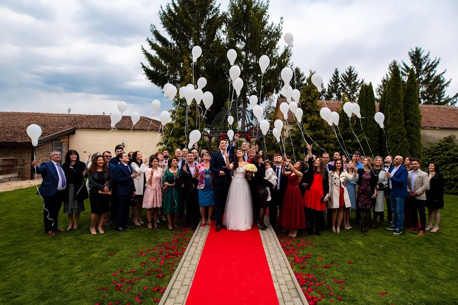 Wedding photographer Marius Stoian (stoian). Photo of 22 April 2019