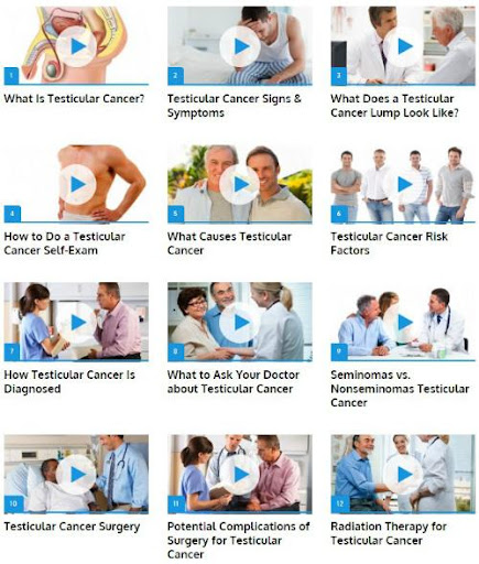 Testicular Cancer Guide