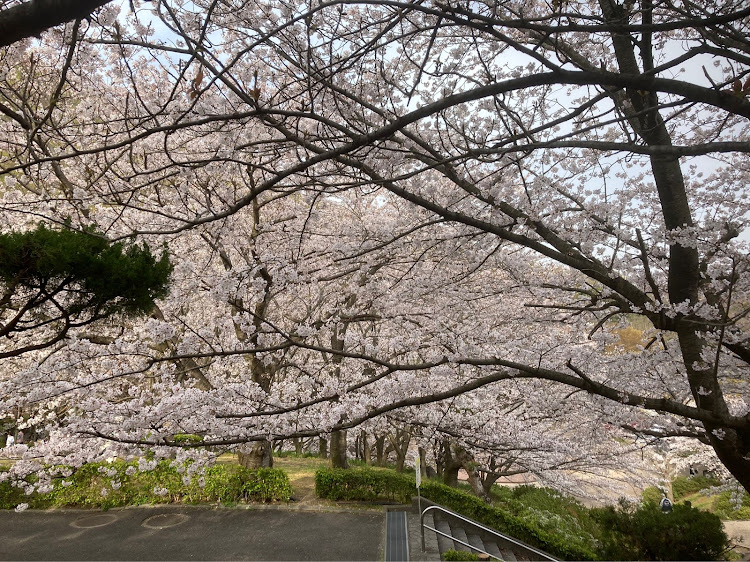 の投稿画像10枚目