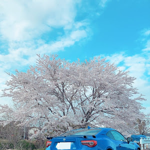 86 ZN6