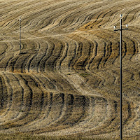 Desolazione dopo la raccolta di 