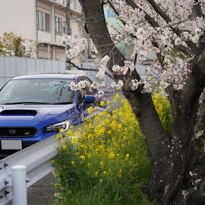 WRX STI