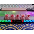 Linear Switch Ktt Strawberry 62G Lò Xo Vàng (Ban 5Pin)