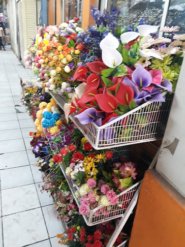 Jardin Artificial Laddy - Quito