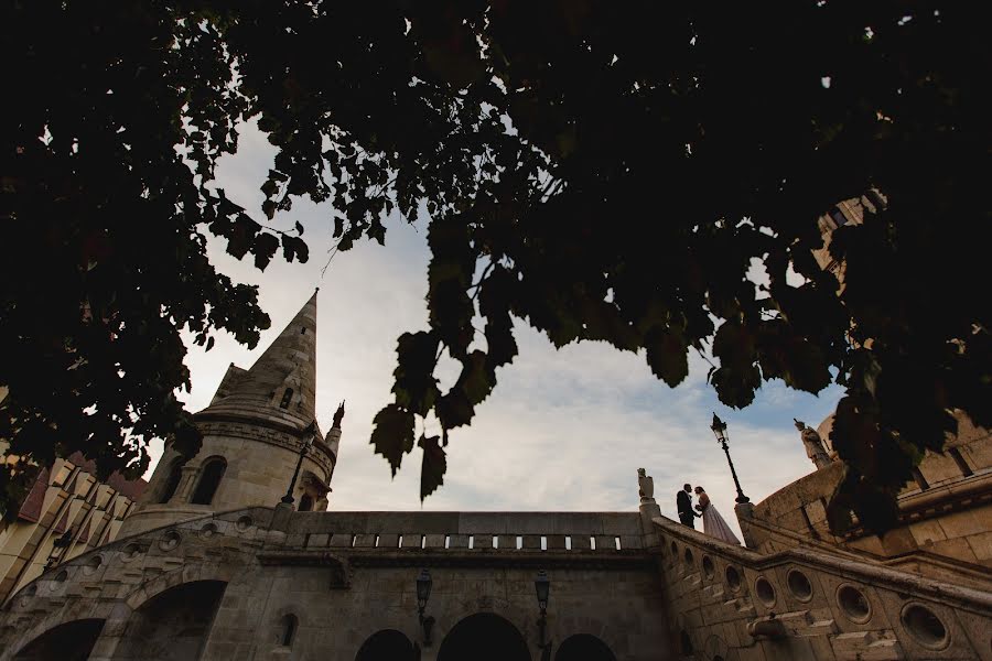 Bryllupsfotograf Balázs Andráskó (andrsk). Bilde av 10 september 2019