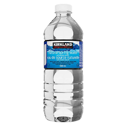 Natural Spring Water Kirkland Signature 500 mL