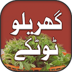 Cover Image of Baixar Gharelu Totkay Urdu 1.0 APK