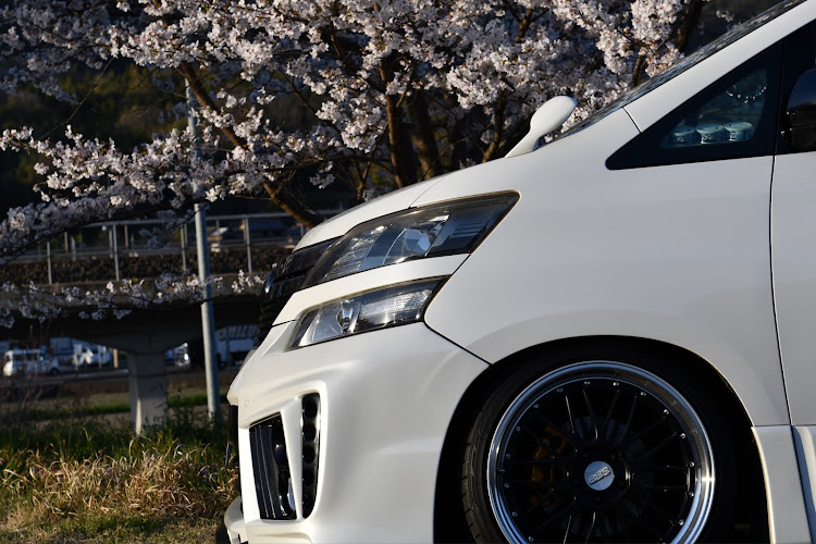 ヴェルファイアのサクラと愛車・BBS LM・アドミレイション・NikonD7500・nikkor 24-70mm 1:2.8g edに関するカスタム事例の投稿画像3枚目