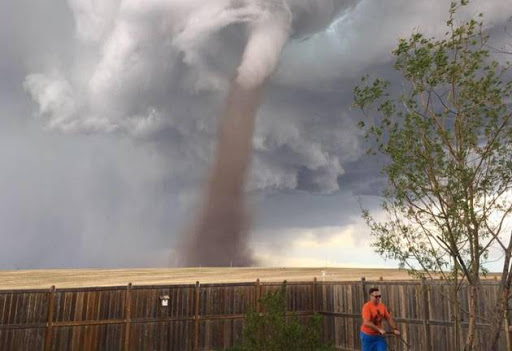 "My beast mowing the lawn with a breeze in his hair".