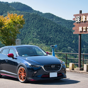 CX-3 DKEFW