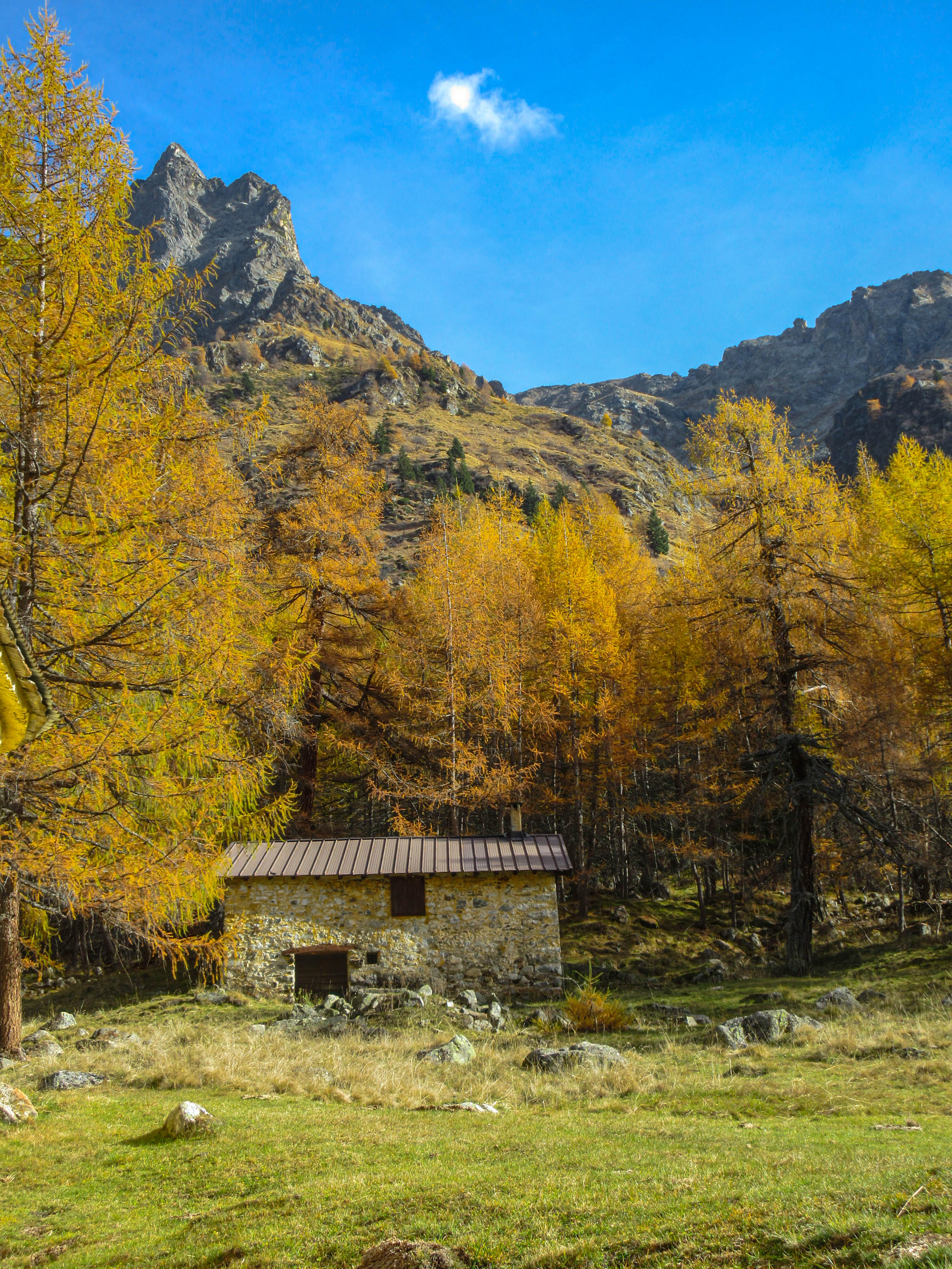 Autunno in montagna  di lorenza84