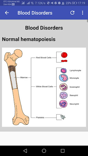 Hematology Overview