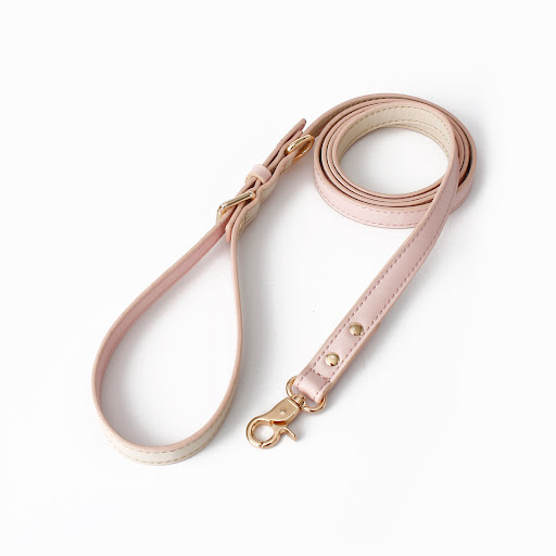 Title 15, Fashion Vest Type Traction Rope for Walking the...