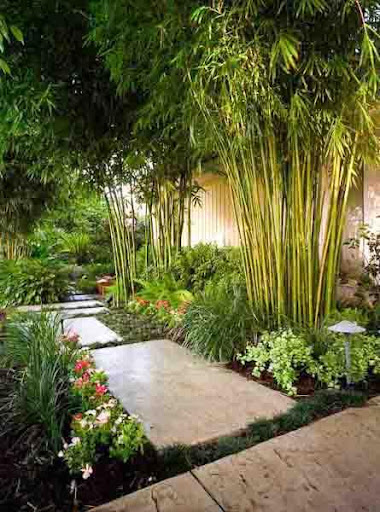 Garden Landscape Design