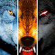 Wolf Online Download on Windows