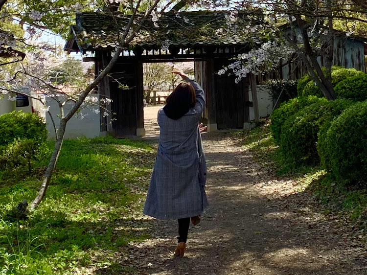 フェアレディZの佐賀県小城公園・桜の名所・嫁のシェーに関するカスタム事例の投稿画像7枚目