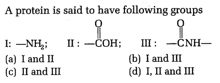 Proteins - Structure