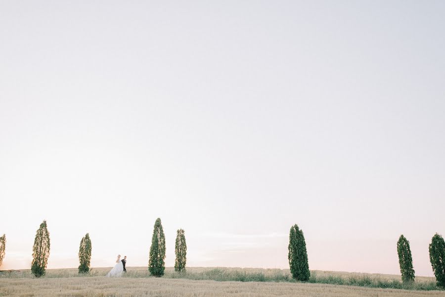 Fotografo di matrimoni Anastasiya Maksimova (maximovawed). Foto del 25 luglio 2018