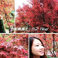 台北奧萬大樂活莊園