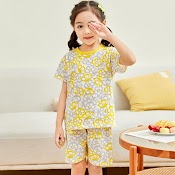 Bt29 Size90 - 150 (9 - 35Kg) Set Bộ Bé Gái (Bộ Thun Lỗ Thông Hơi Hàn Quốc 100% Cotton) Thời Trang Trẻ Em