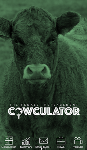 Female Replacement Cowculator
