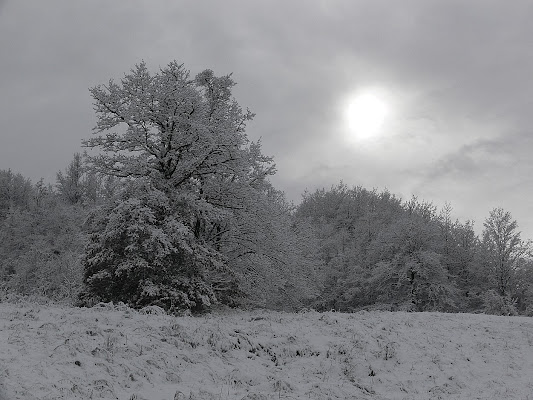 Il vestito bianco di Mr. Gelo di PhotoLoris