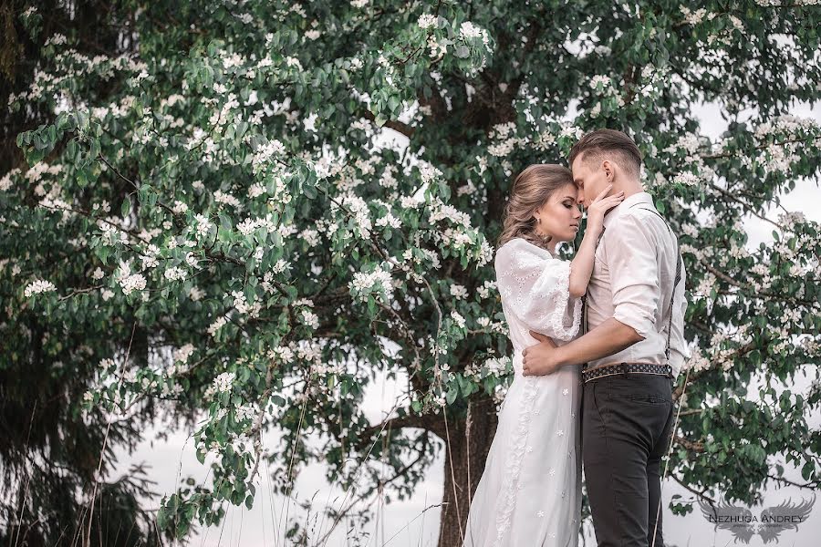 Photographe de mariage Andrey Nezhuga (nezhuga). Photo du 1 juin 2016