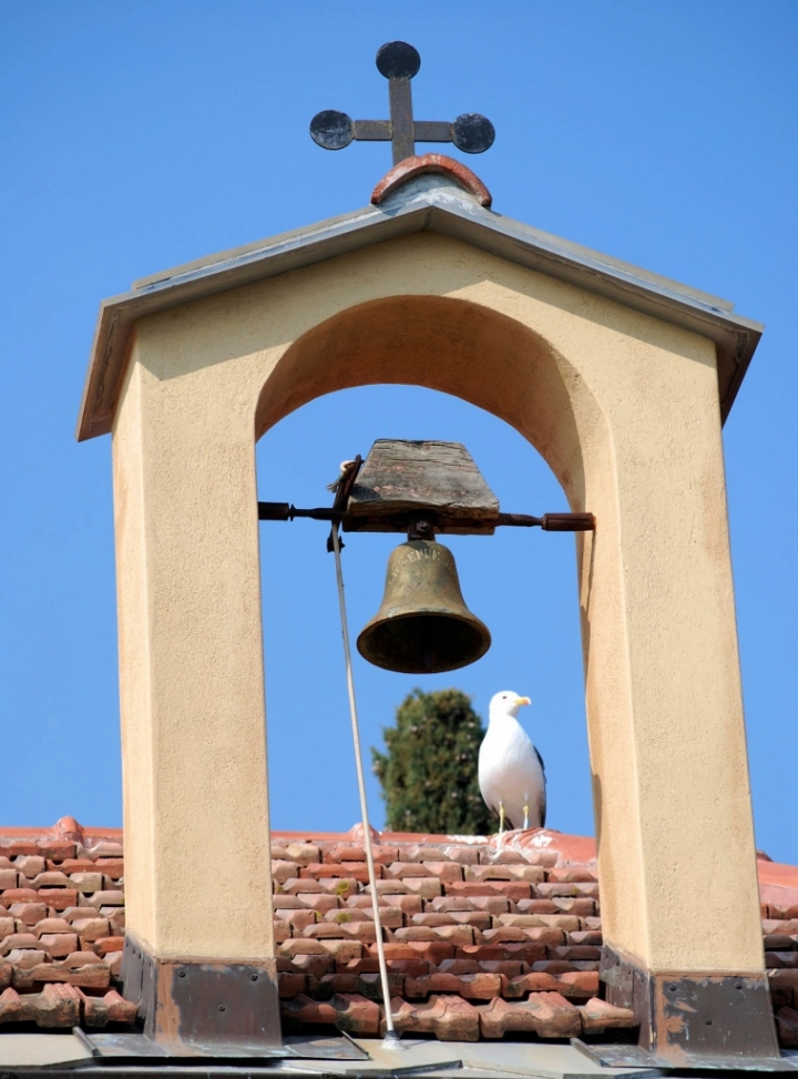 Per chi suona la campana... di dady2