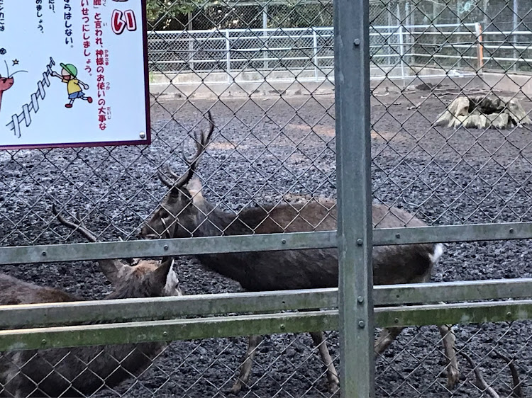 の投稿画像7枚目