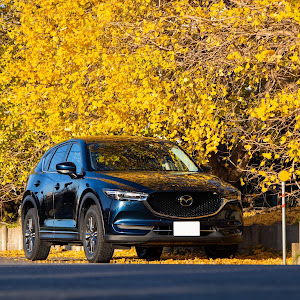 CX-5 KF5P