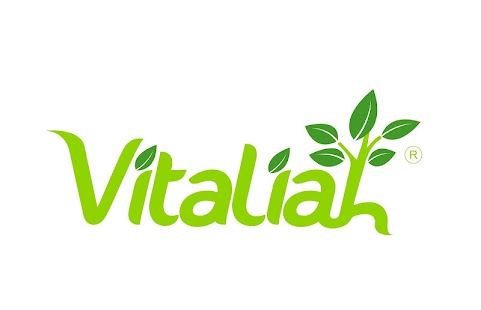How to install Vitaliah 1.0 mod apk for laptop