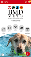 BMD Vets Screenshot
