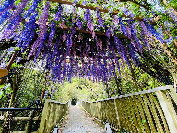 3シリーズ セダンのE9x・N55・淡路島ハイウェイオアシス・淡路島公園・あわじ花さじきに関するカスタム事例の投稿画像12枚目
