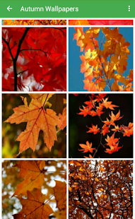 How to install Autumn Wallpapers patch 1.0 apk for pc