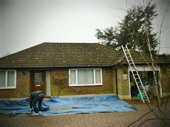 Roof Cleaning album cover