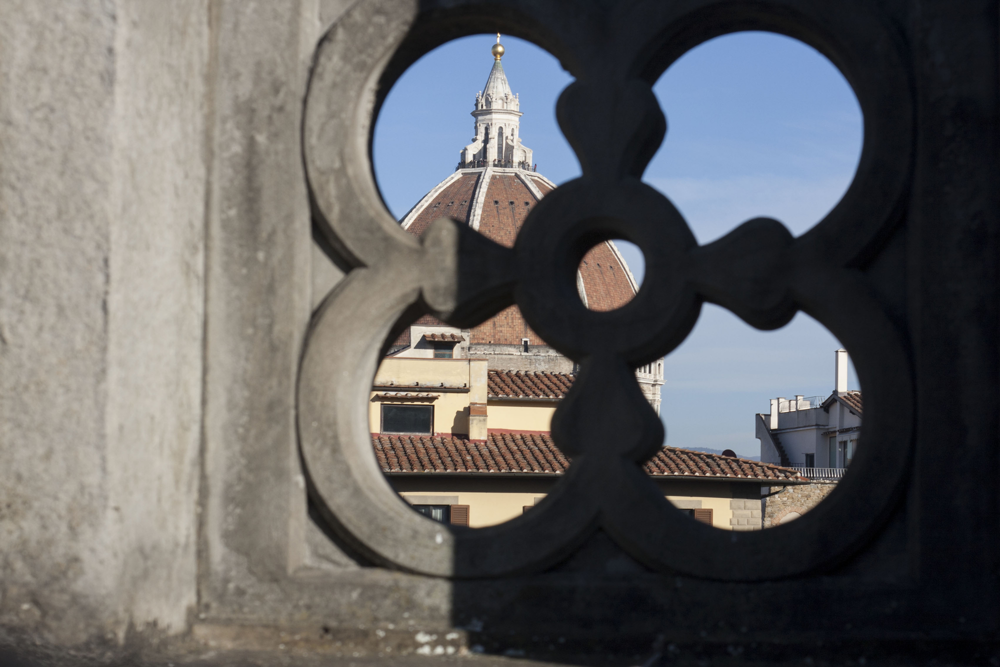quadrifoglio fiorentino di marco_g64