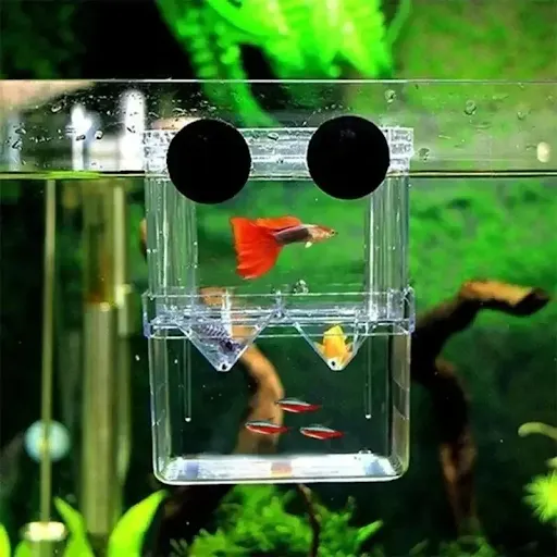 3in1 Juvenile Fish Hatching Box Multi-functional Hanging Fish Tank Fish Breeding Isolation Box Female Fish Spawning and 