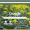 Item logo image for Euphorbia