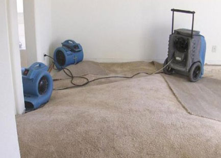 wet-carpet-drying-fan-hire-.jpg