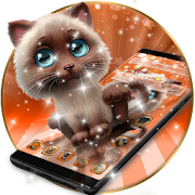 Cute Lovely Brown Cat Orange Theme  Icon