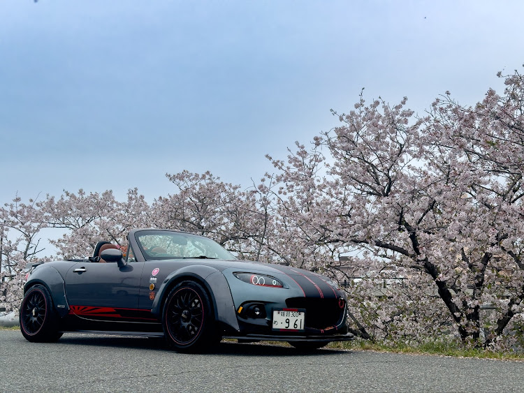 ロードスターのサクラと愛車・ロードスターNC・RMTT・桜と愛車・桜コラボに関するカスタム事例の投稿画像10枚目