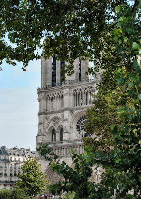 Notre-Dame de Paris. di Domenico Lacava