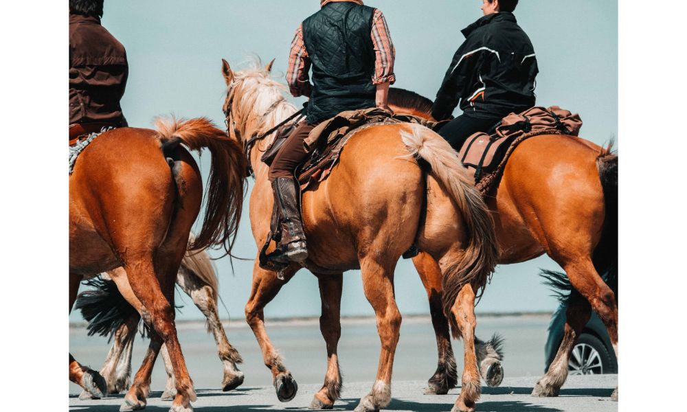 horseback riding tours tucson