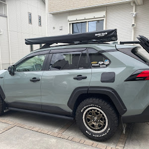 RAV4 MXAA54