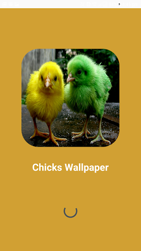 Screenshot Chicks Wallpapers