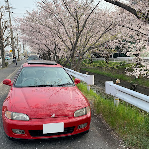 シビック EG6