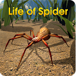 Cover Image of Download Life of Spider 1.1.1 APK