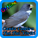 Cover Image of ดาวน์โหลด Canto Coleiro Tui Tui Viviti New Offline 2.0 APK