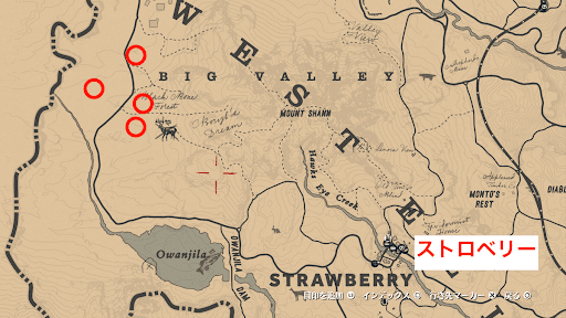 Rdr2 オンラインの宝の地図の入手方法と宝の場所 神ゲー攻略